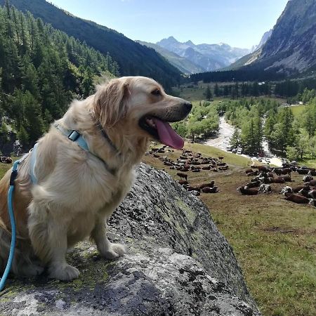 Casa Lucy Lägenhet Aosta Exteriör bild